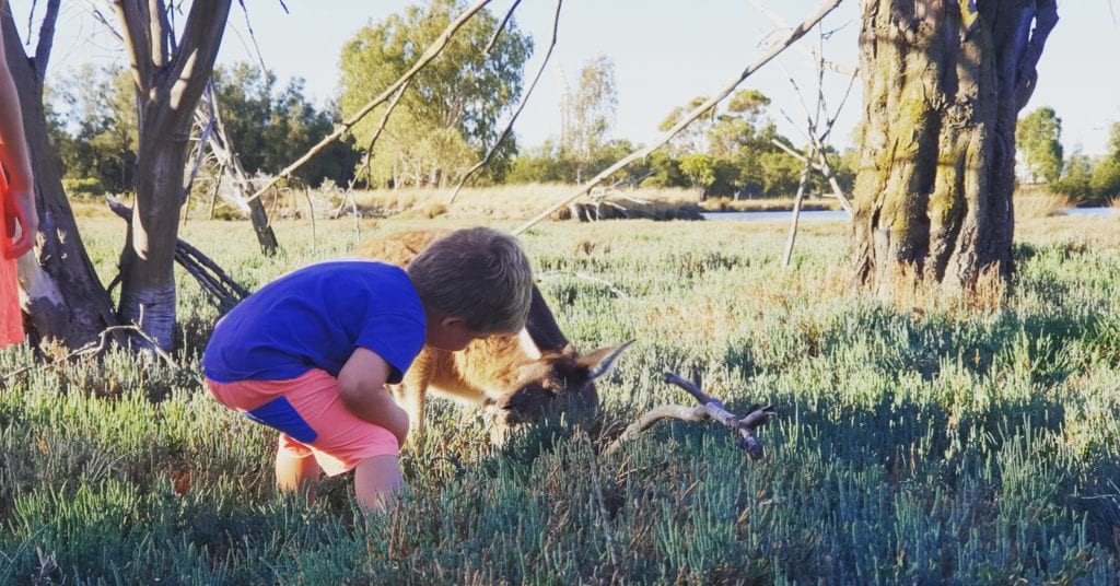 Heirisson Island, Perth