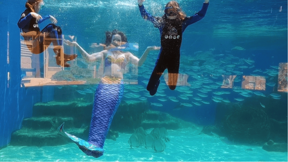 Meet the Perth Mermaids