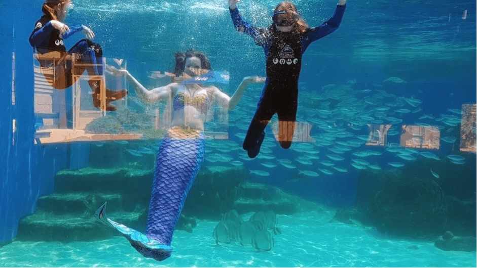 Meet the Perth Mermaids 