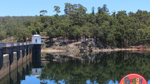 Mundaring Weir With Kids