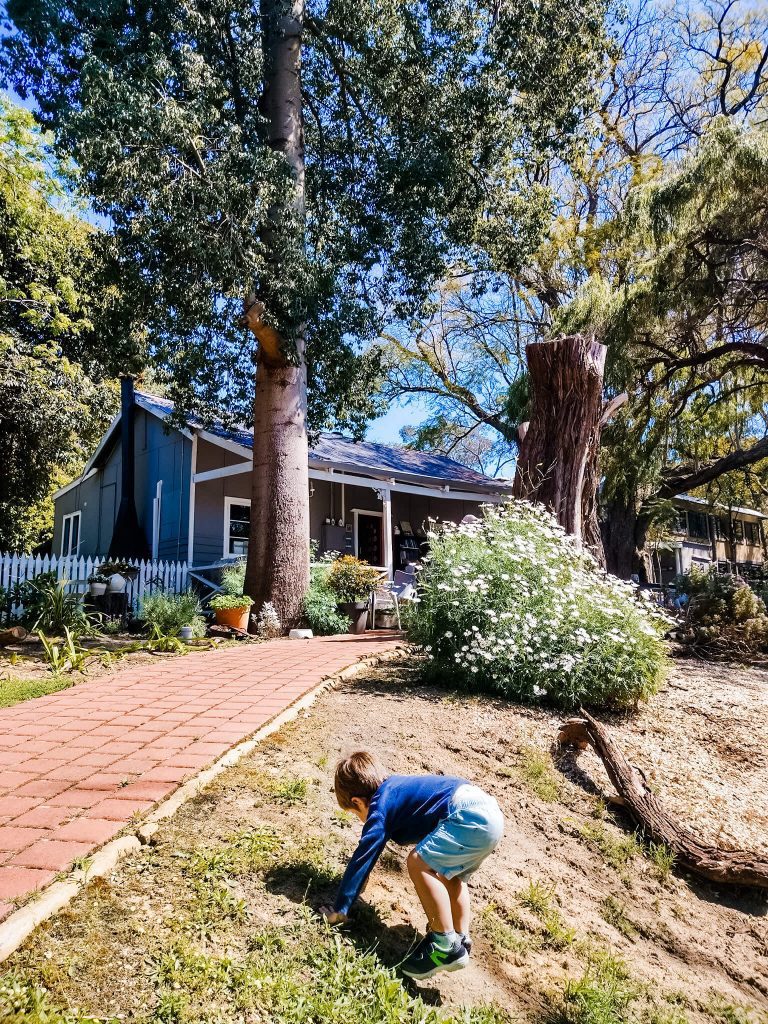 Olive Estate Tearooms, Henley Brook