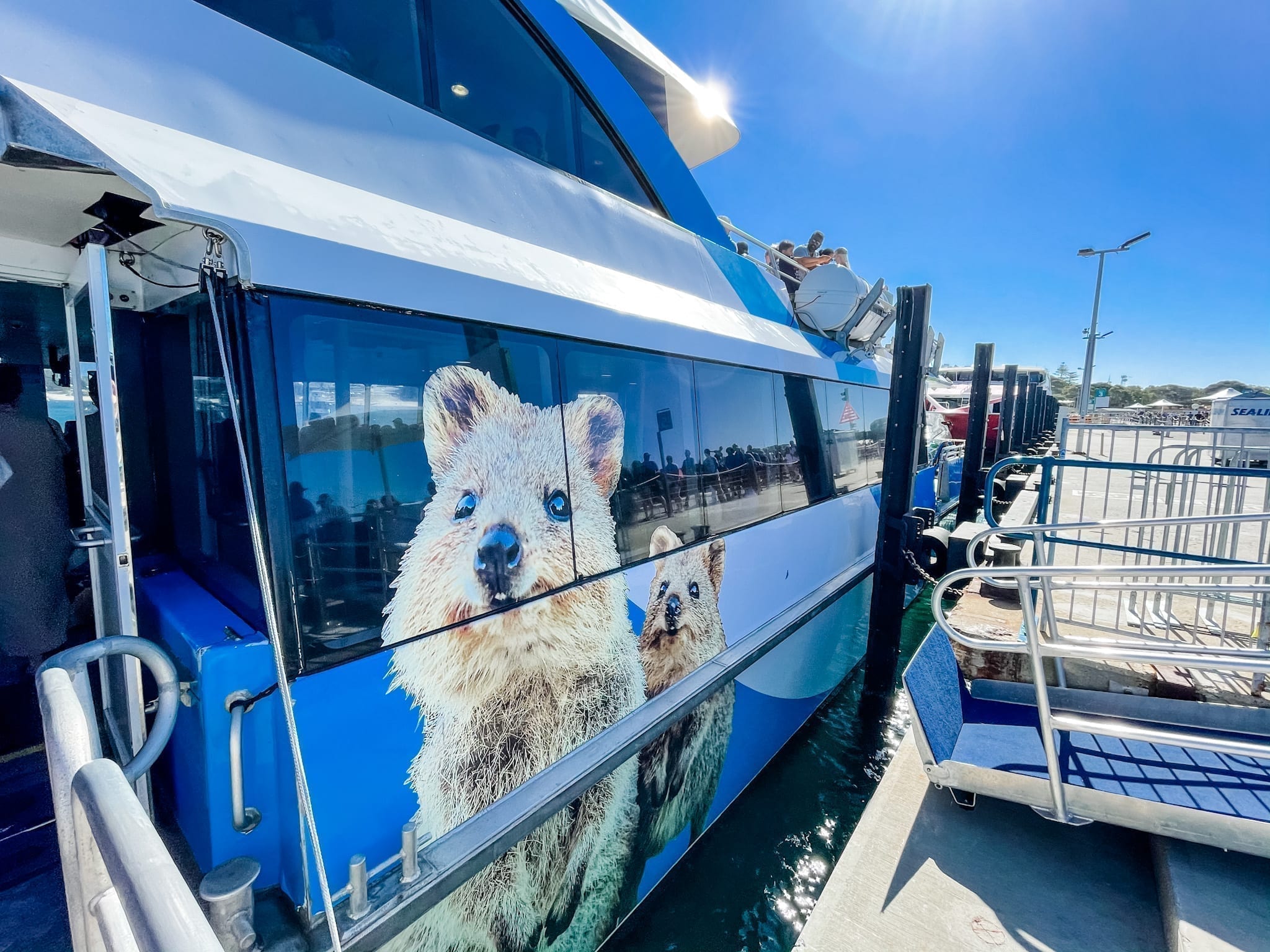 captain cook cruises to rottnest