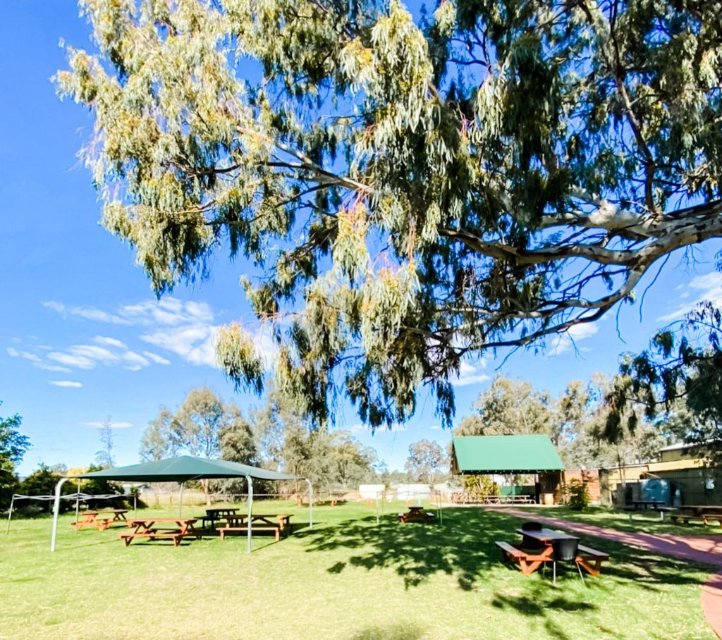 Swan Valley Brewery