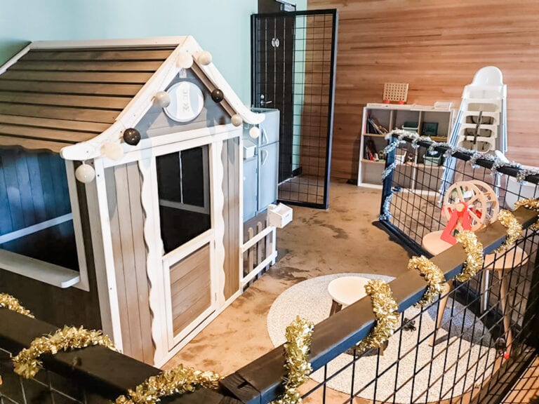 79355410 10159161962898957 8467054083012820992 o 768x576