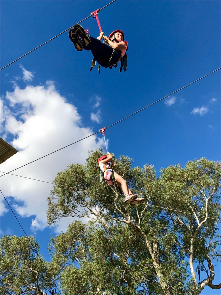 Flying Fox 768x1024