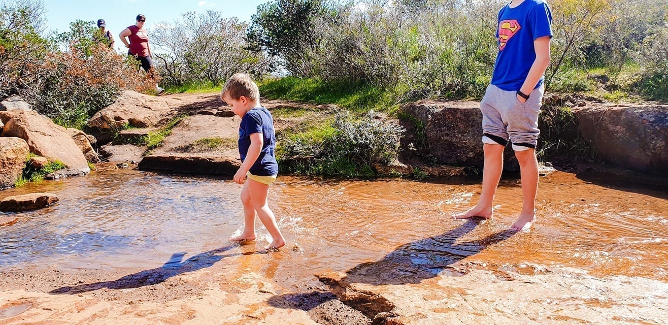 Ellis Brook Valley Reserve, Martin