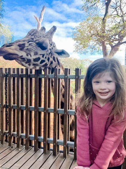 Close Encounters Perth Zoo