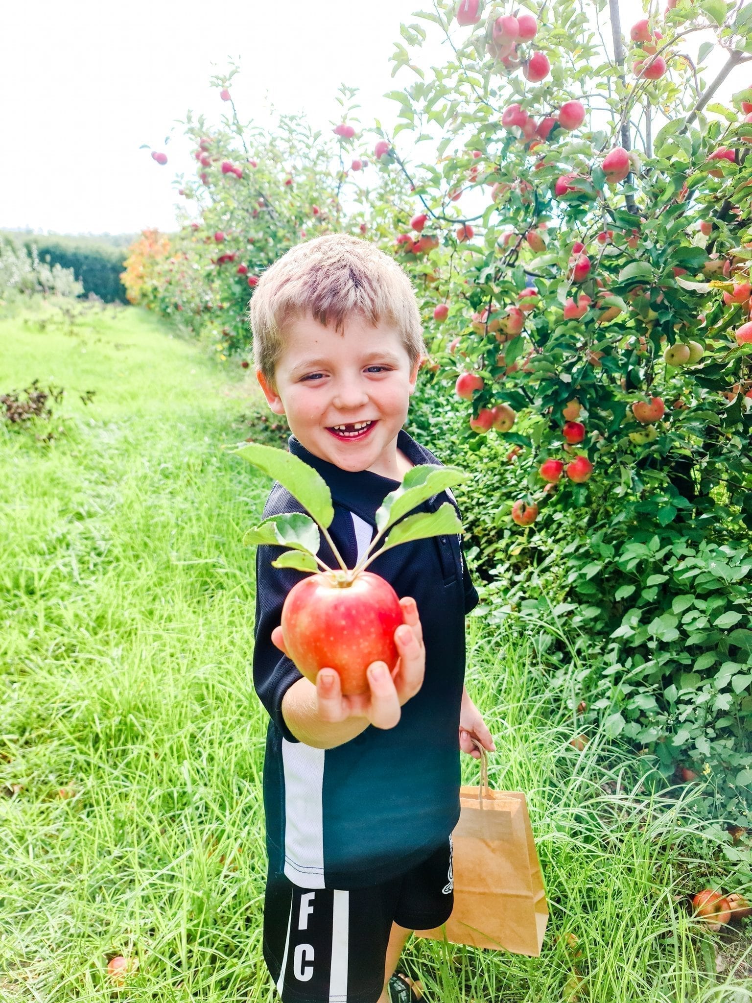 Apple Picking Tour at Core Cider House