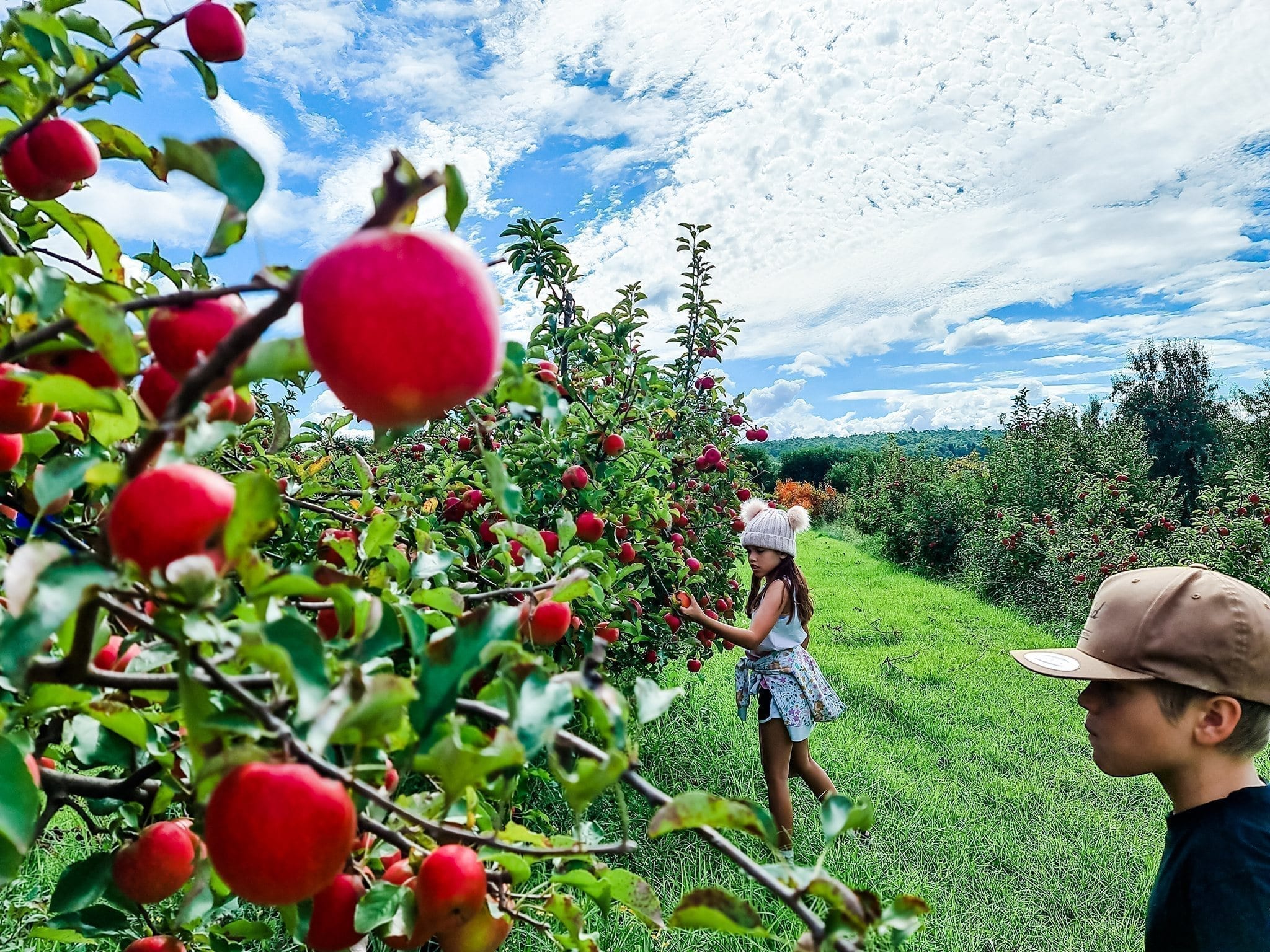 Apple Picking Tour at Core Cider House