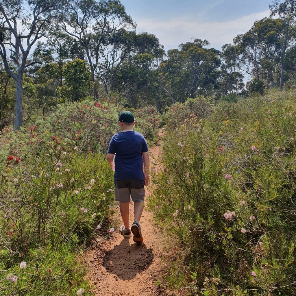 Whistlepipe Gully Walk Trail