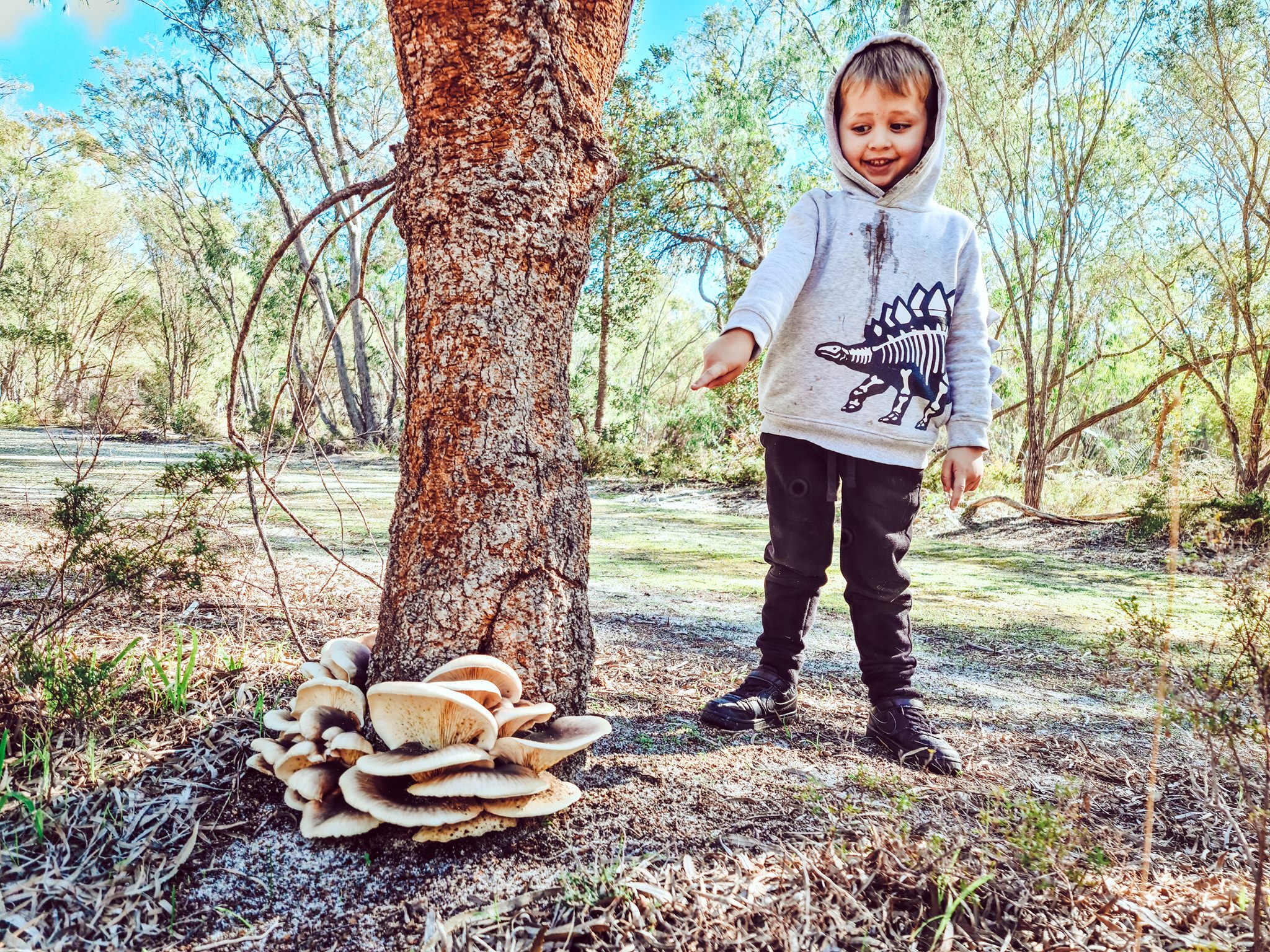 Salt and Bush Eco Tours