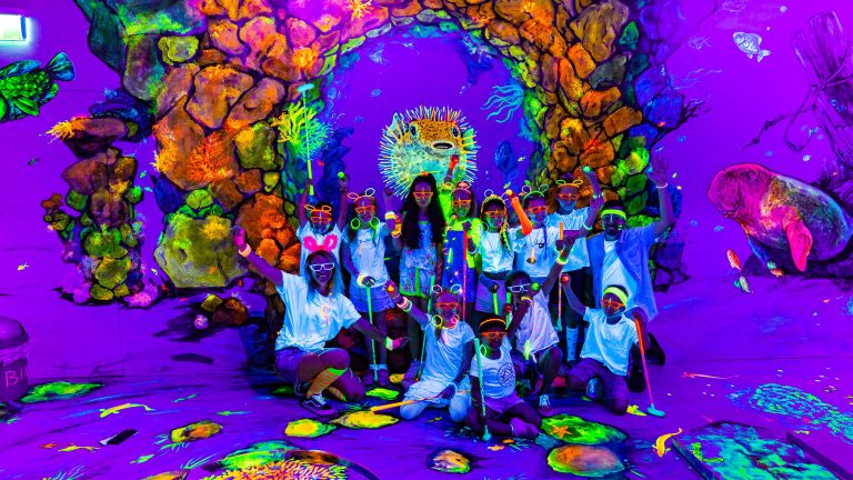 DSC00776 2 1 768x432