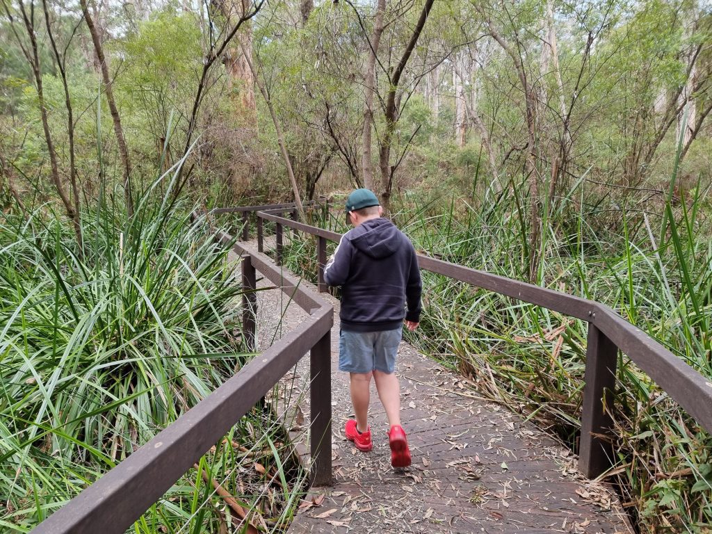 Understory Art and Nature Trail