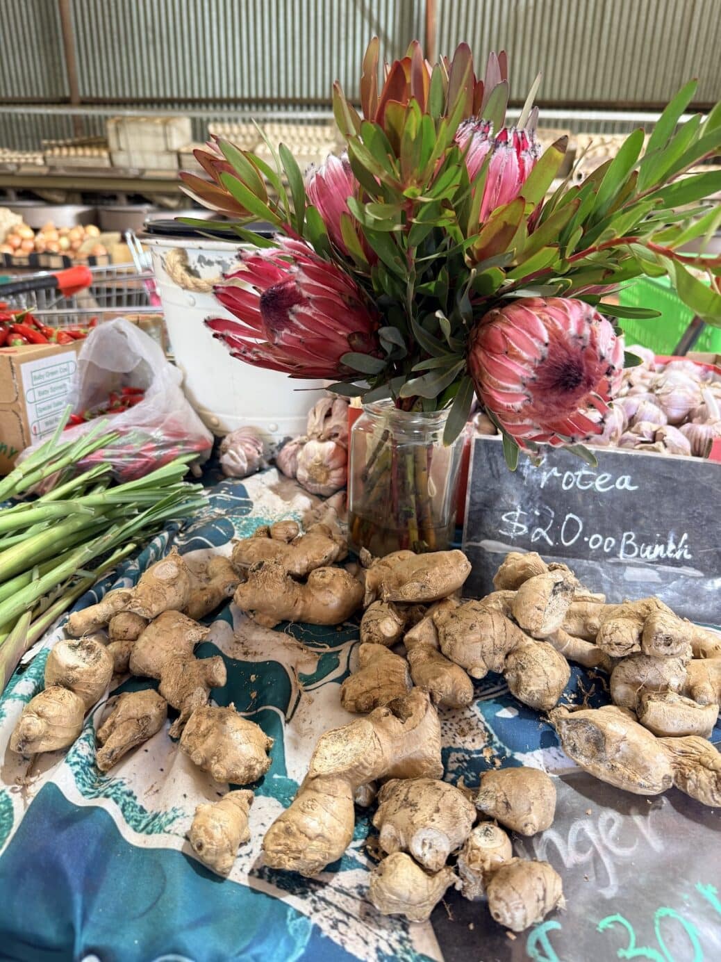 AmazingCo Mystery Picnic - Buggybuddys guide to Perth