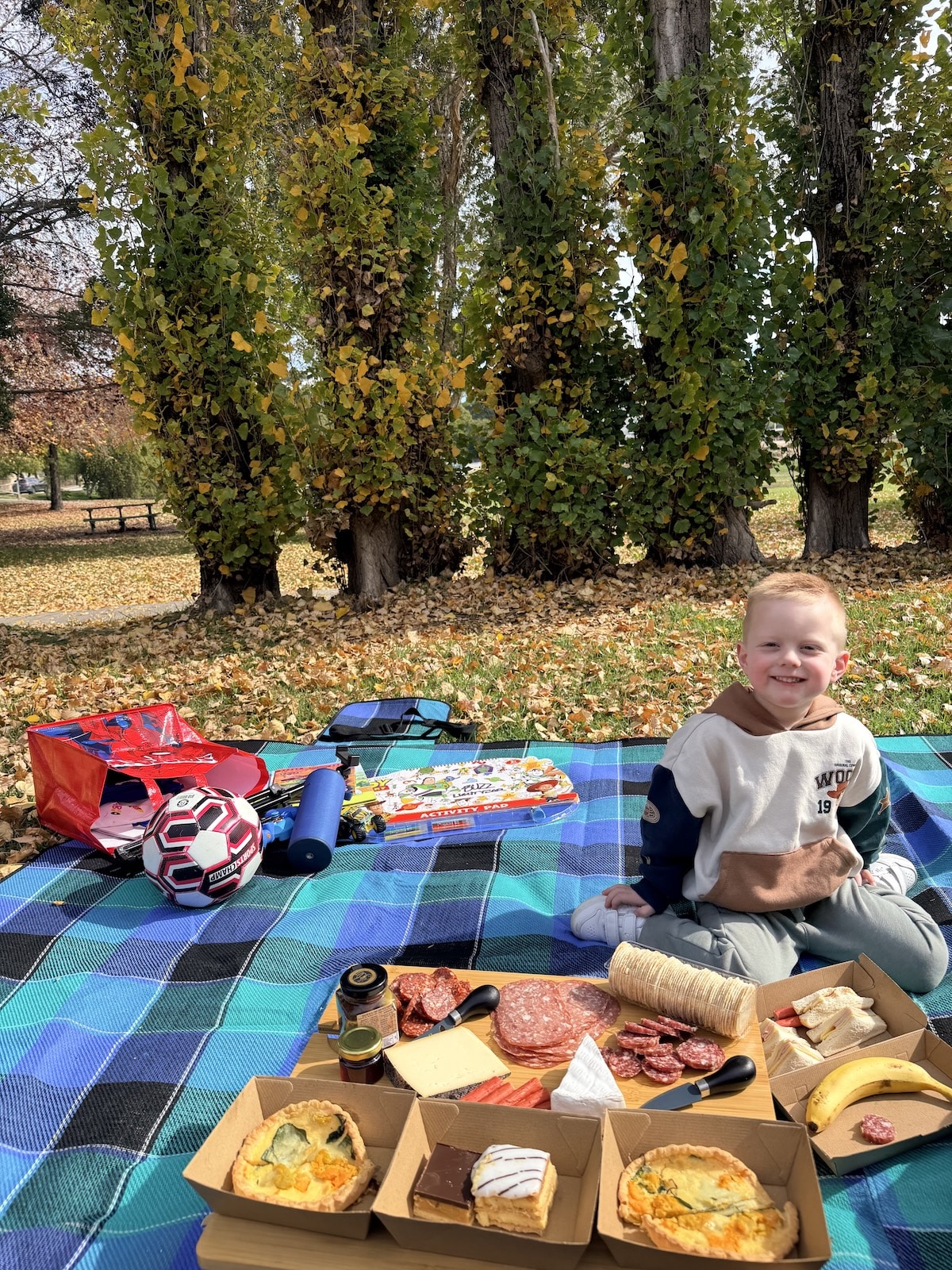 AmazingCo Mystery Picnic - Buggybuddys guide to Perth