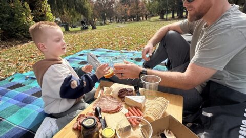 AmazingCo Mystery Picnic