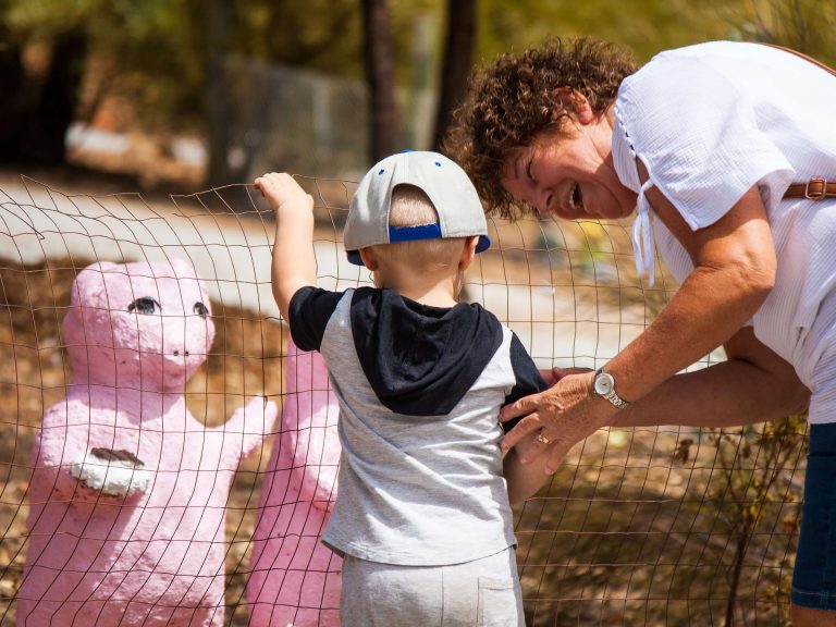 4x3 ftf pigs 768x576