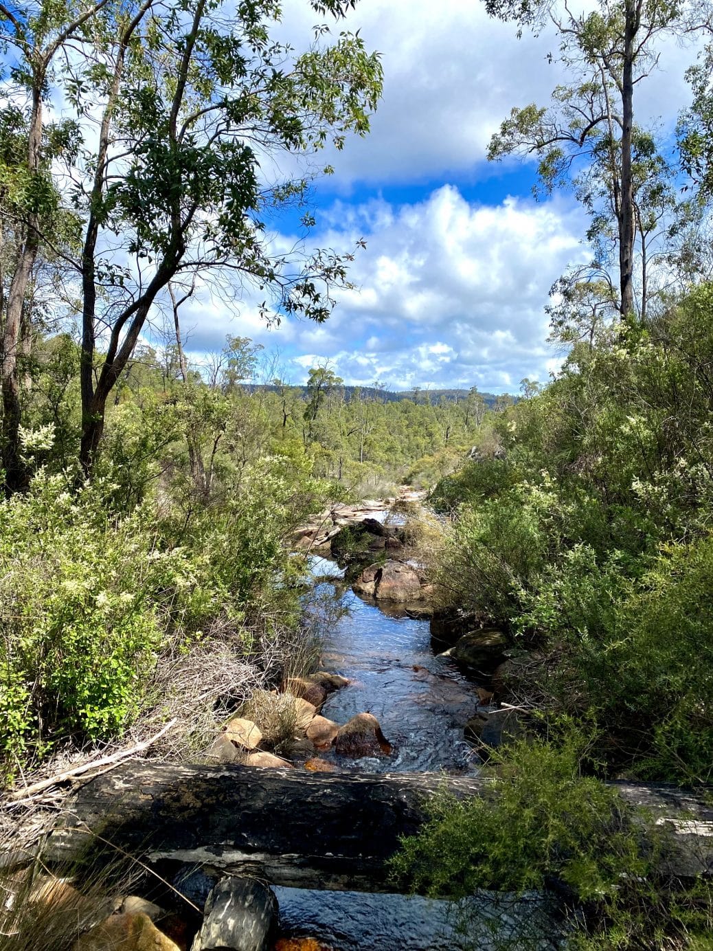 Marrinup Falls Walk, Dwellingup