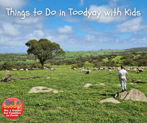 Things to do in Toodyay