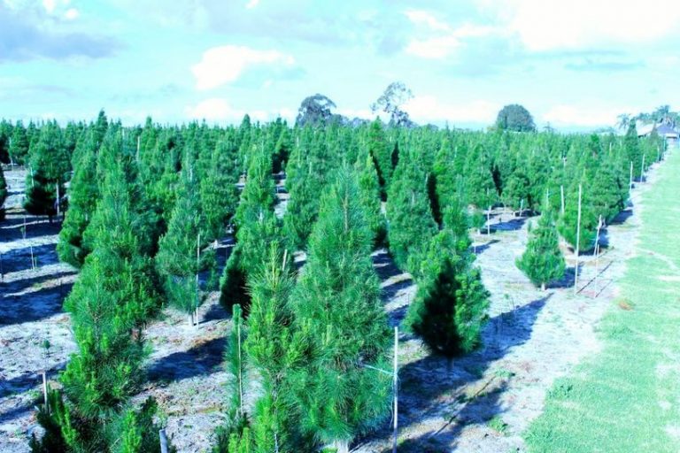 395130 402004556537651 1019851623 n 768x512