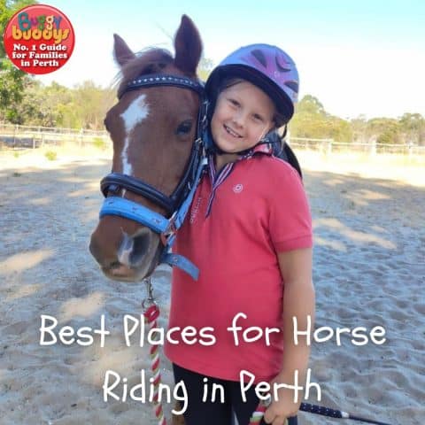 Horse Riding Perth