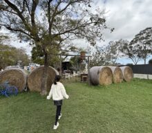 Keller’s Farm, Swan Valley
