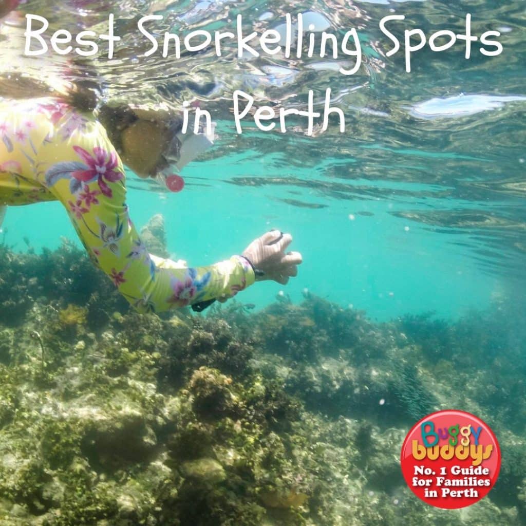 where-you-can-find-the-best-snorkelling-spots-in-perth