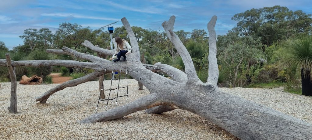 Karda Way Nature Playspace & Harry Usher Park at OneOneFive Hamilton Hill