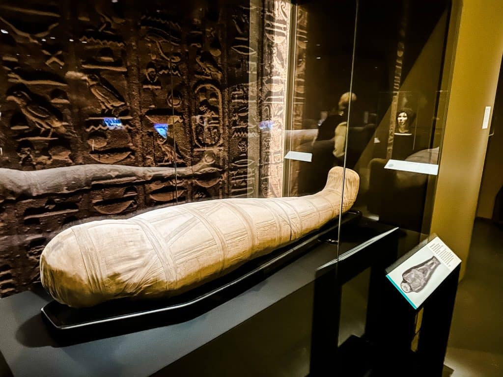Discovering Ancient Egypt at WA Museum
