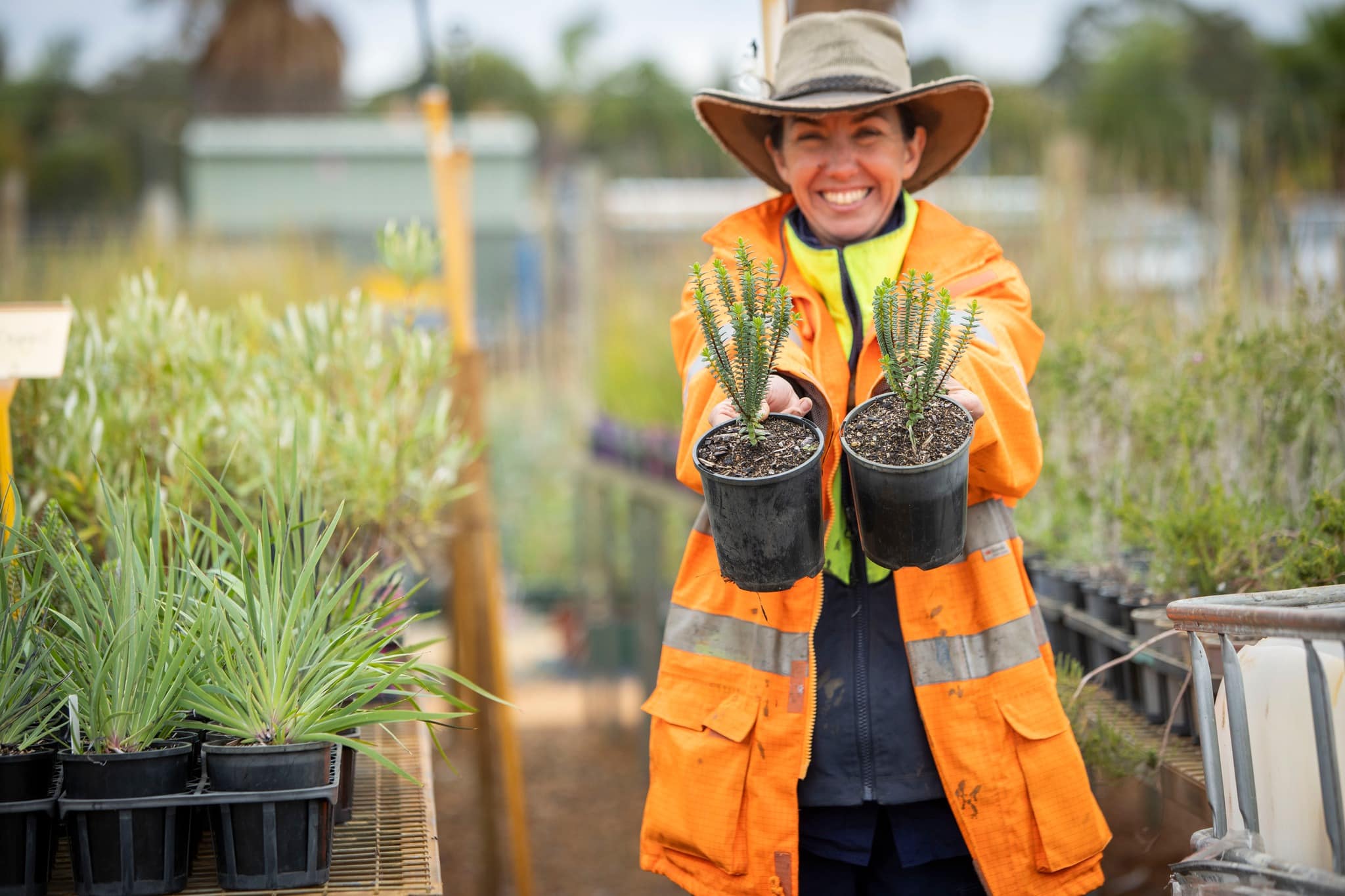 Nursery Tour & Tree Giveaway WA Tree Festival 2024, March 18, 2024