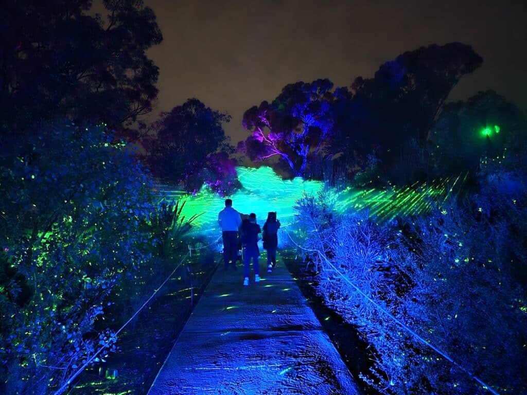 Lightscape, Kings Park
