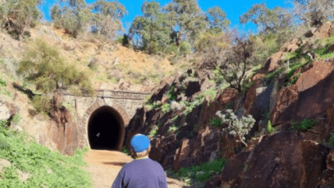 Best Nature Walks for Kids in Perth