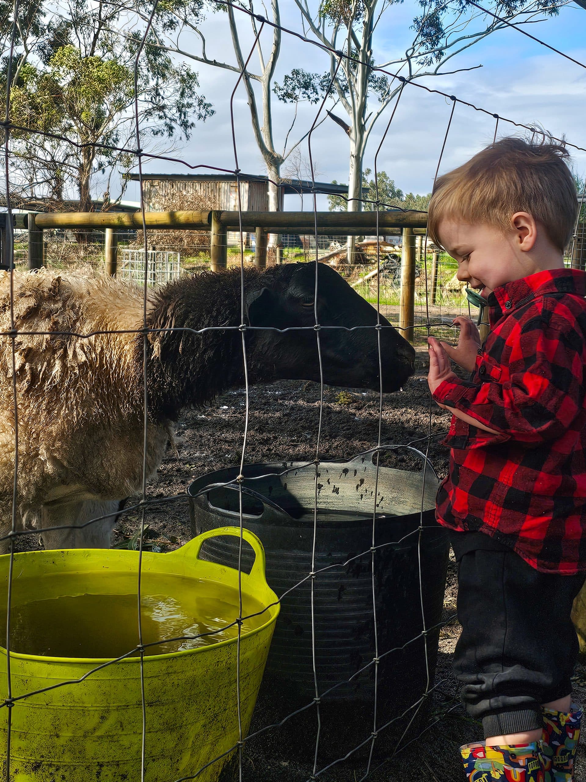 Cubby Cafe, Forrestdale - Buggybuddys guide to Perth