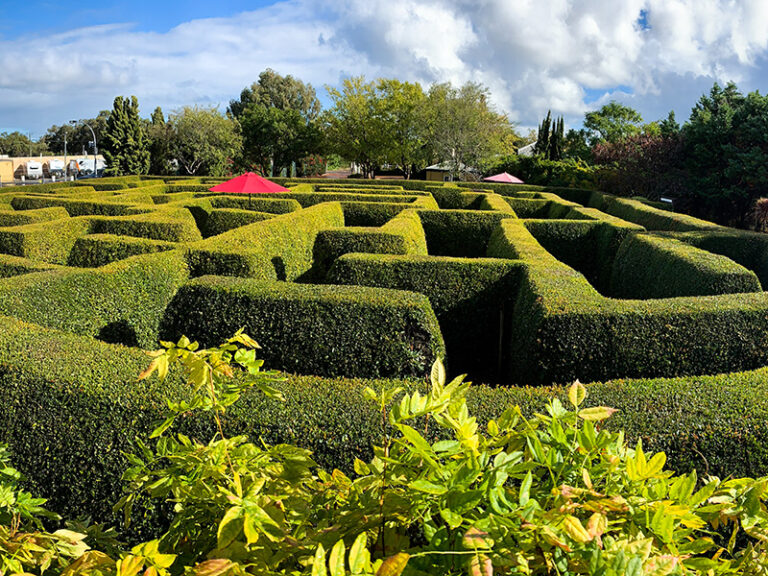 Amaze Miniature Park Website Listing 7 768x576