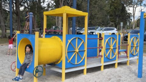 Dwellingup Playground