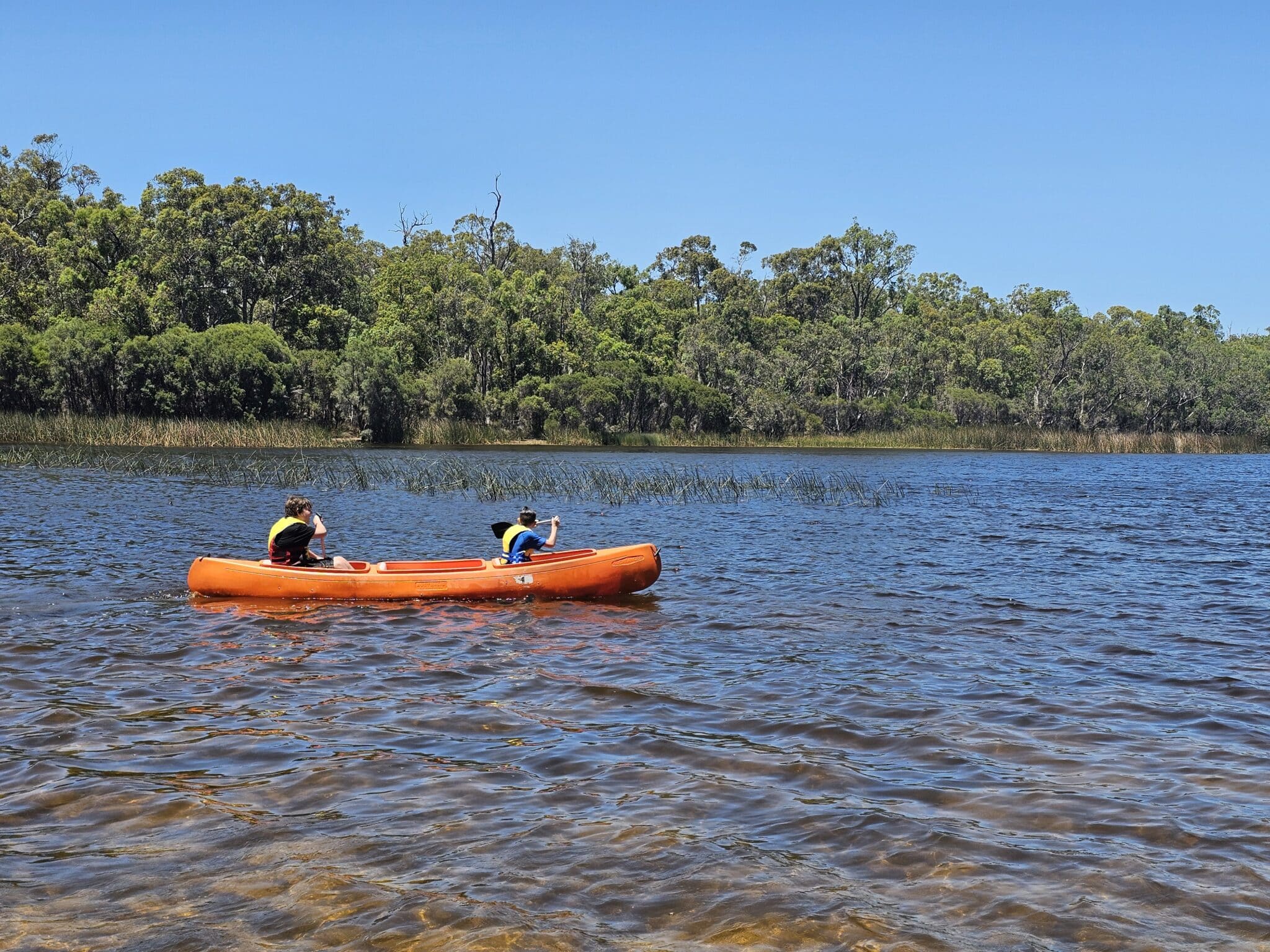 Curated visual reference: The Flackseed At Lake Leschenaultia Chidlow Photo Inspiration