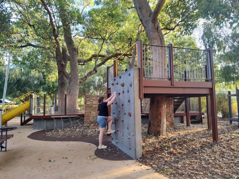 IMG 20250110 184148530 HDR min 768x576