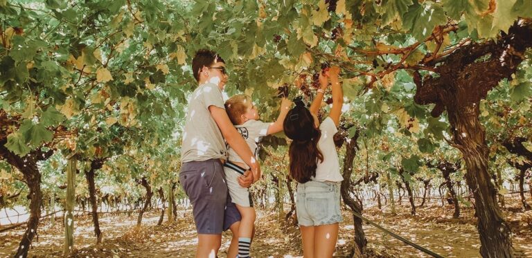 86703284 10157870726069648 711119281386946560 o 768x373