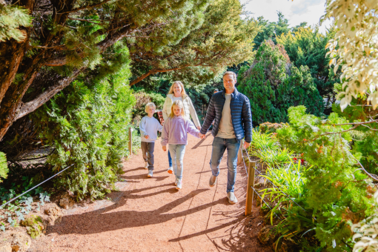 AmazingCo Adventure Days 2 768x512