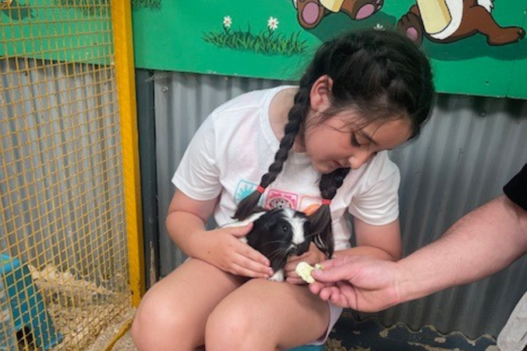 AmazingCo Adventure Days 3 768x512