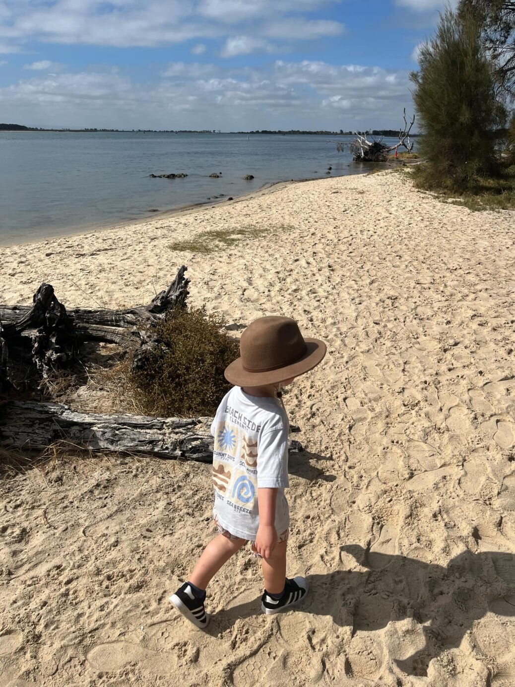 Nature Play Adventures with Murray Forrest Friends - Buggybuddys guide ...