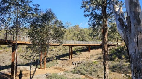 John Forrest National Park