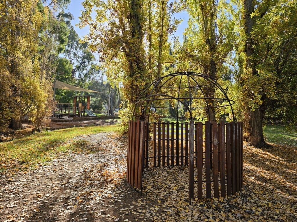 autumn leaves in perth