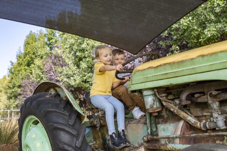 Core Cider BuggyBuddys Socials 3 768x512