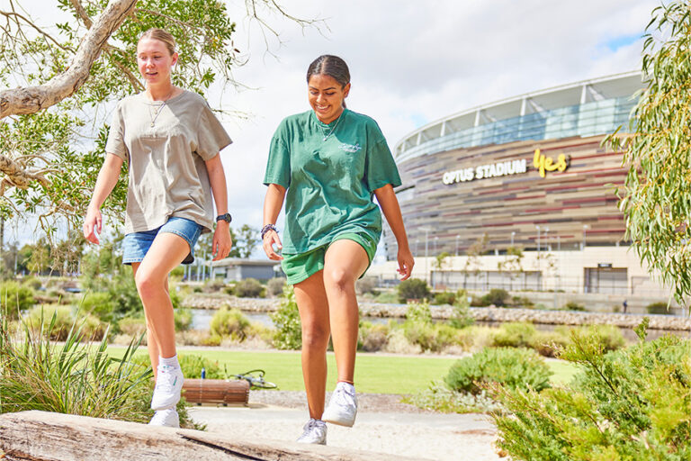 Stadium Park 2 768x512