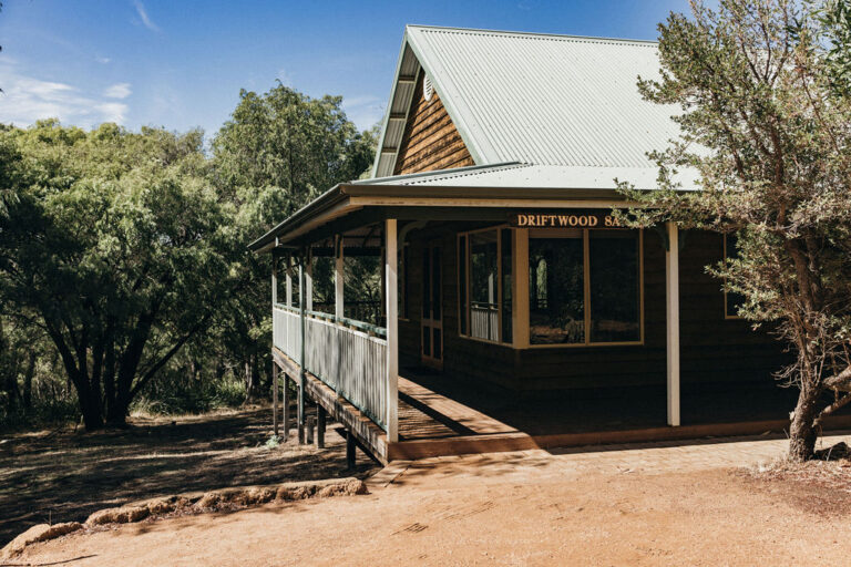 YFRSUNNY 14 1 768x512