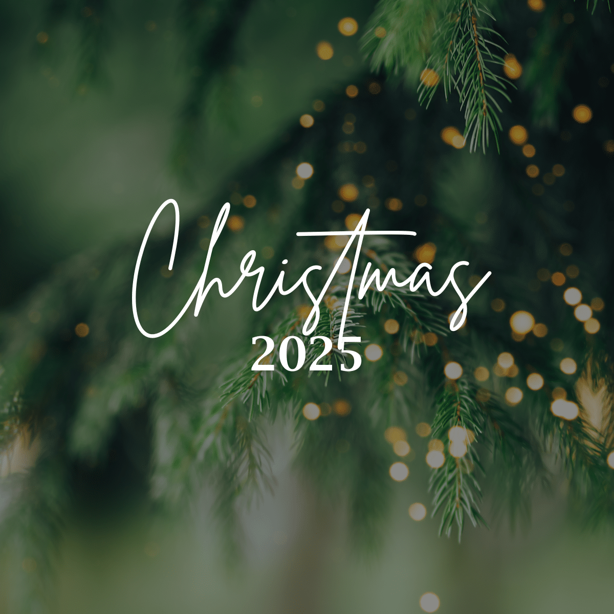 Fraser’s Restaurant Christmas Day