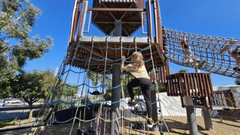 Elizabeth Quay Playground