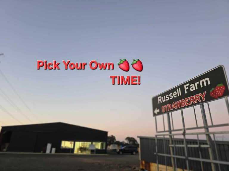 559227589 1152461973694264 2234674644143444159 n 768x576