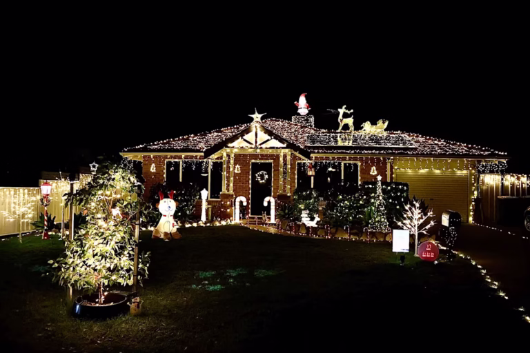 1733653582692 img 1008 768x512